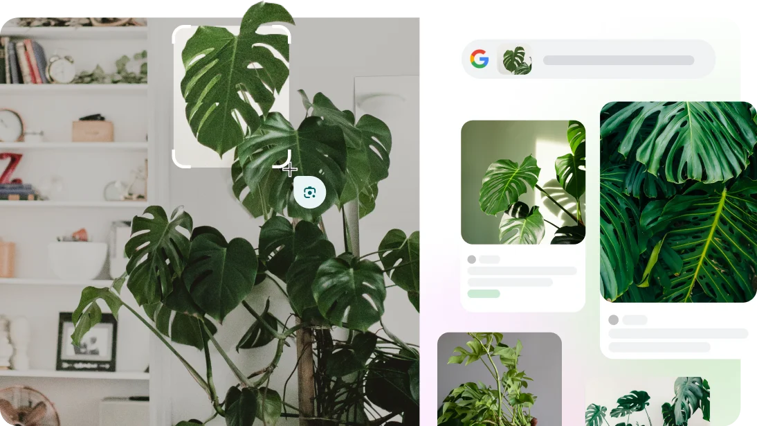 Google Lens digunakan untuk mengidentifikasi koper di halaman web serta ras anjing dan tanaman di aplikasi kamera.