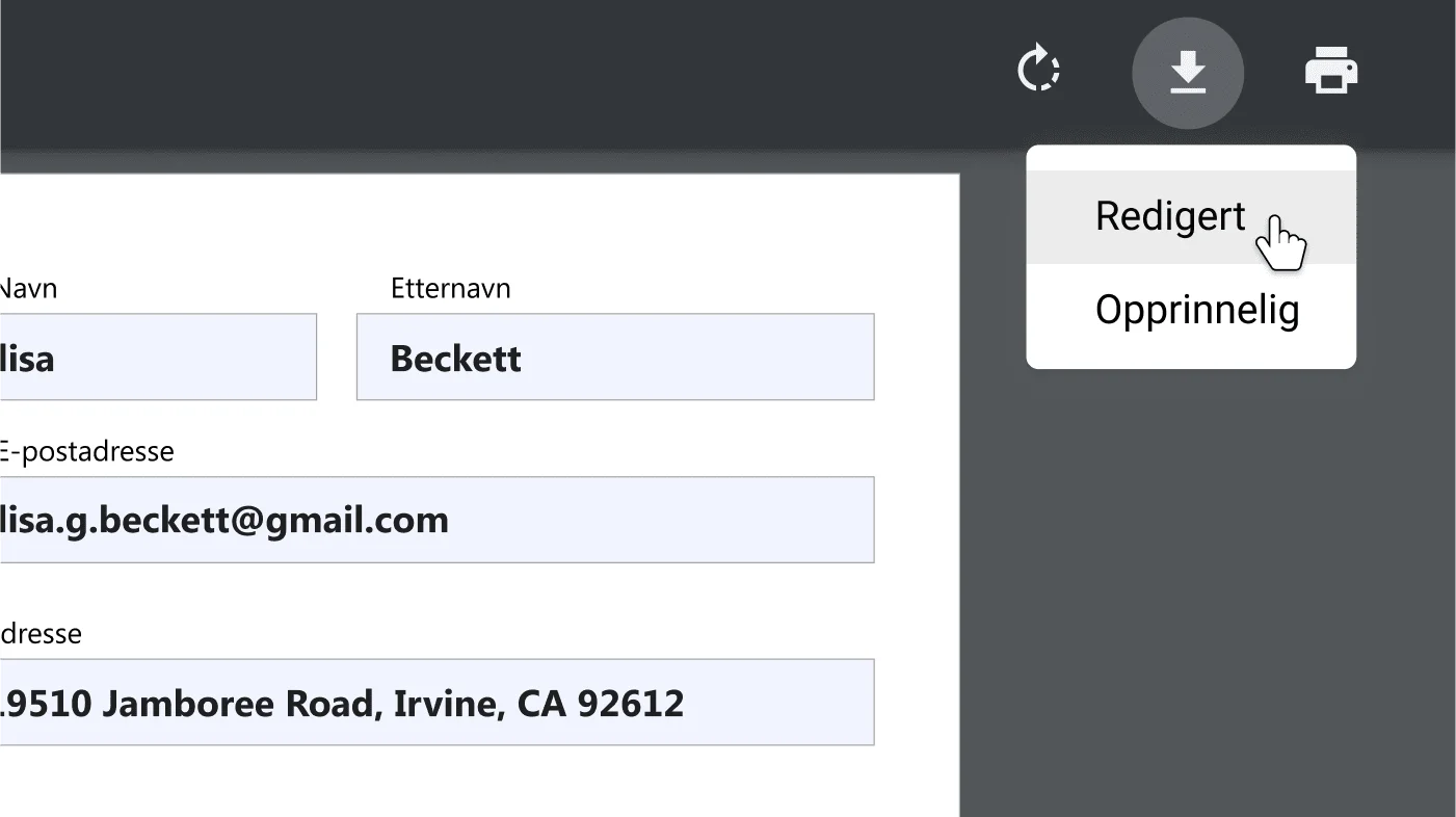 Chrome-nettleservindu med et åpent PDF-dokument, zoomet inn på alternativmenyen for nedlasting og utskrift.